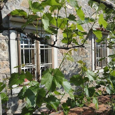 A Lovely House In Vipava Valley Εξωτερικό φωτογραφία