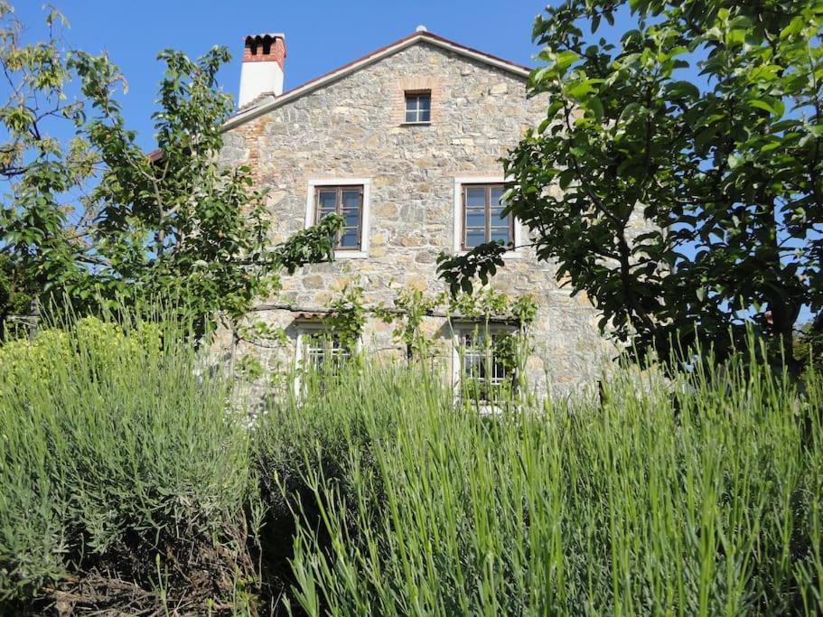 A Lovely House In Vipava Valley Εξωτερικό φωτογραφία