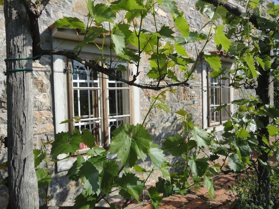 A Lovely House In Vipava Valley Εξωτερικό φωτογραφία