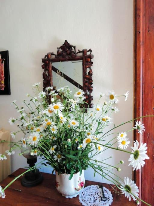 A Lovely House In Vipava Valley Εξωτερικό φωτογραφία